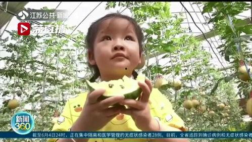 小苏吃瓜后续,揭秘娱乐圈背后的真相与反转 第2张 小苏吃瓜后续,揭秘娱乐圈背后的真相与反转 第2张